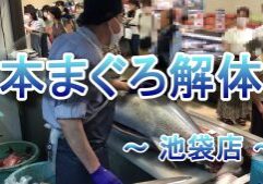 本まぐろ解体サムネイル